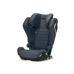 Asiento infantil Recaro AXION 1 Gallant Grey