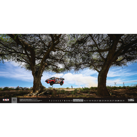  El calendario de pared 2026 McKlein The Wider View