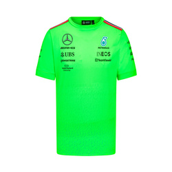 Camiseta Mercedes AMG F1 Set Up Team green