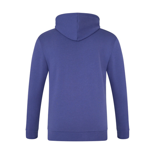 Sudadera con capucha Team Pullover Red Bull Racing 2025 azul