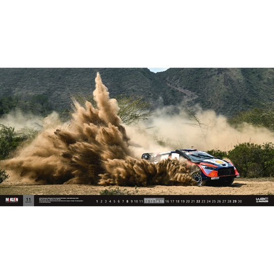  El calendario de pared 2026 McKlein The Wider View