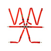 Arnes seguridad OMP ONE VERSA rojo (FIA)