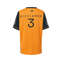 Camiseta de hombre Ricciardo Team Grey McLaren F1 