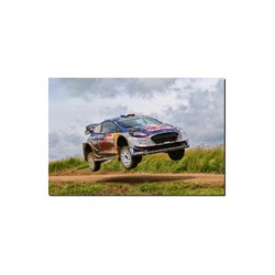 Cuadro de la lona Sebastien Ogier / Julien Ingassia - Ford Fiesta WRC 90 x 60 cm